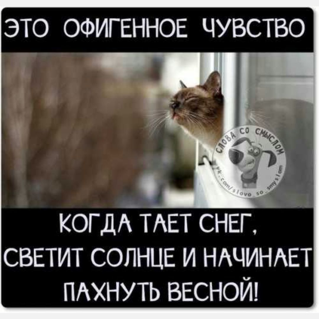 Чувствуете запах весны