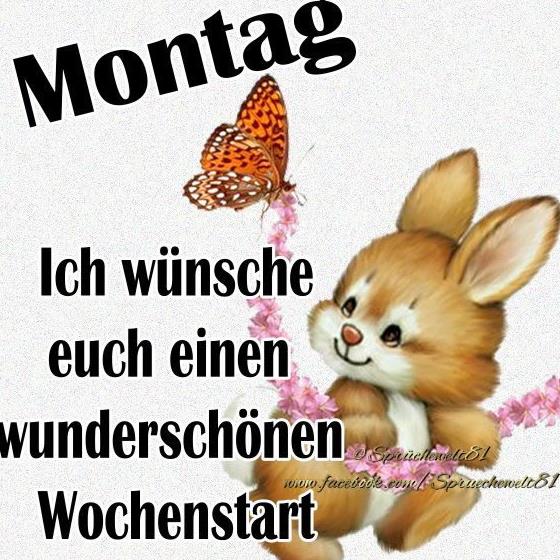 Einen schönen wochenstart bilder