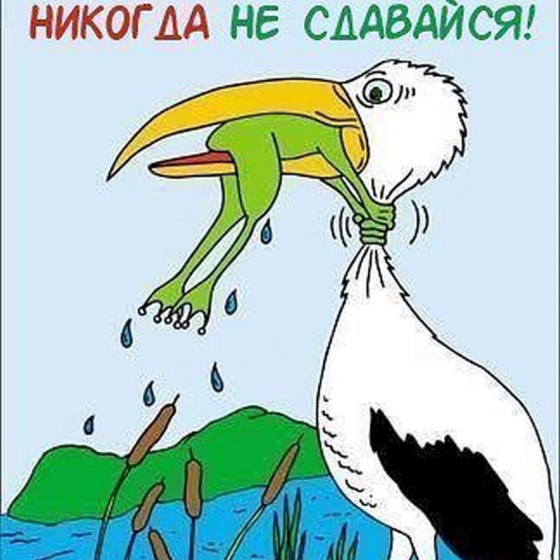 Платье, цапля прикольная картинка