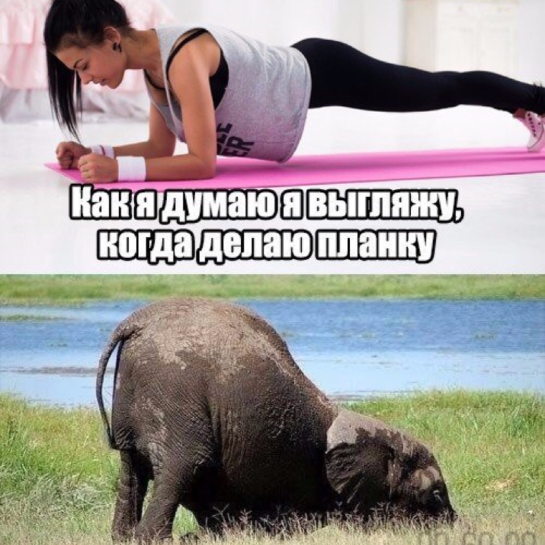 Планка в картинках прикольные, марта учителю