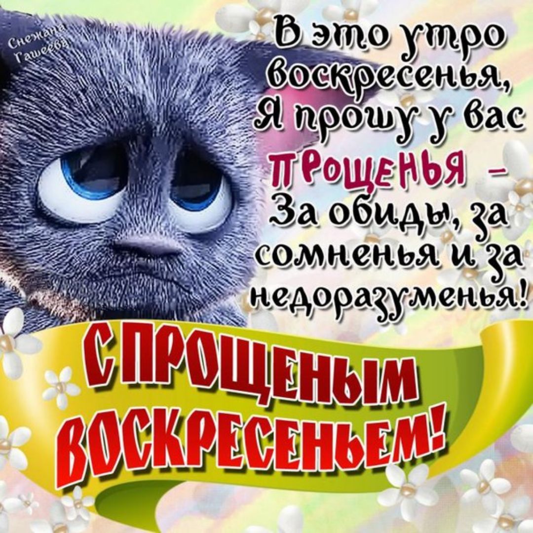 КАРТИНКА С ПРОЩЕННЫМ ВОСКРЕСЕНЬЕМ СКАЧАТЬ БЕСПЛАТНО КАРТИНКА С ПРОЩЕННЫМ ВОСКРЕСЕНЬЕМ СКАЧАТЬ БЕСПЛАТНО