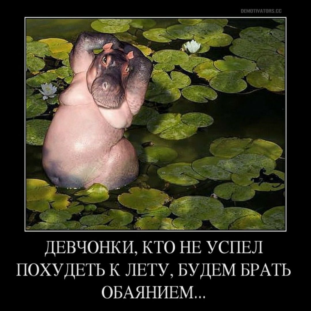 Ты Не Похудеешь К Лету Картинки.