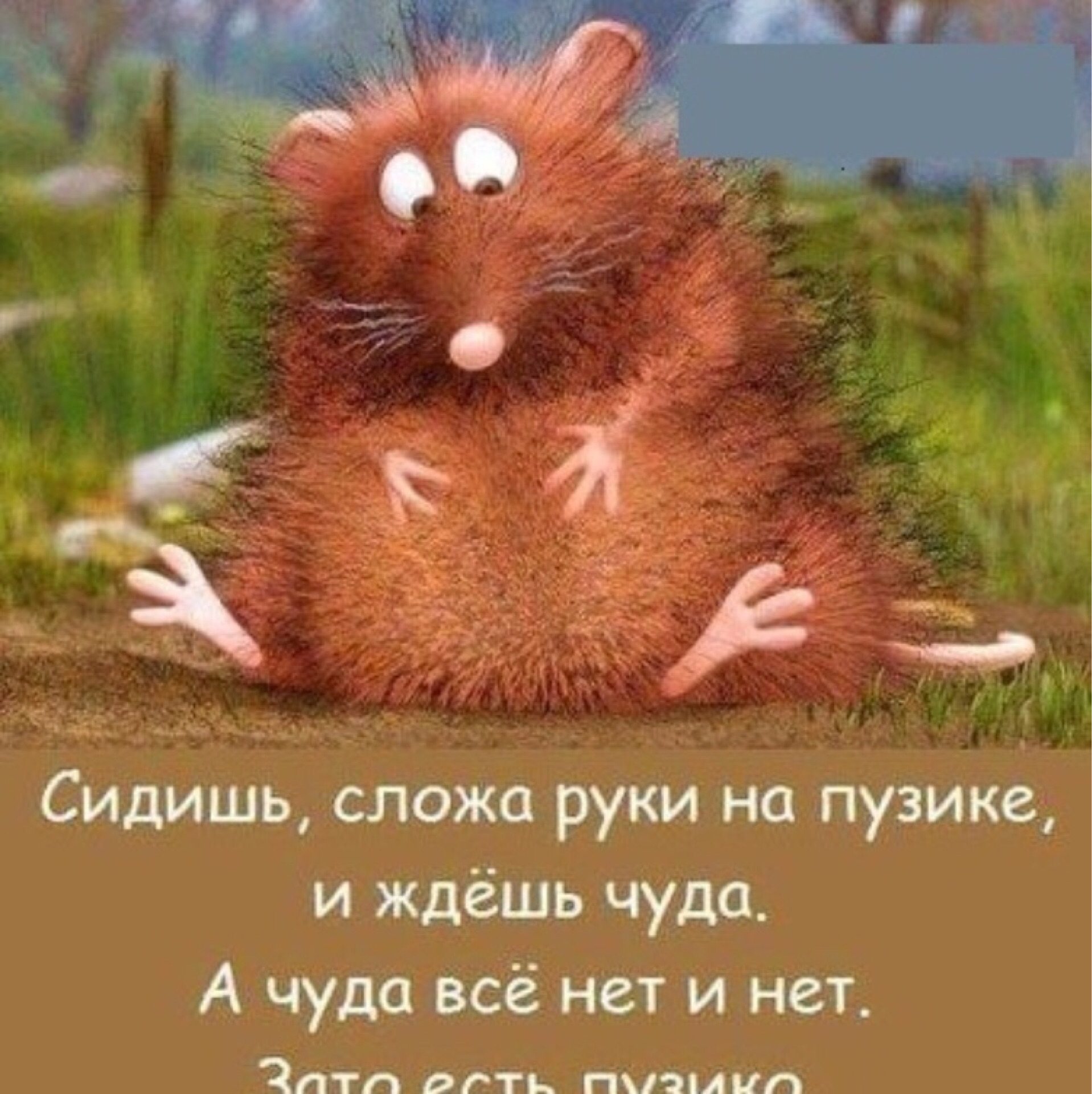 она жизни, смешные картинки как жизнь хочу рассказать