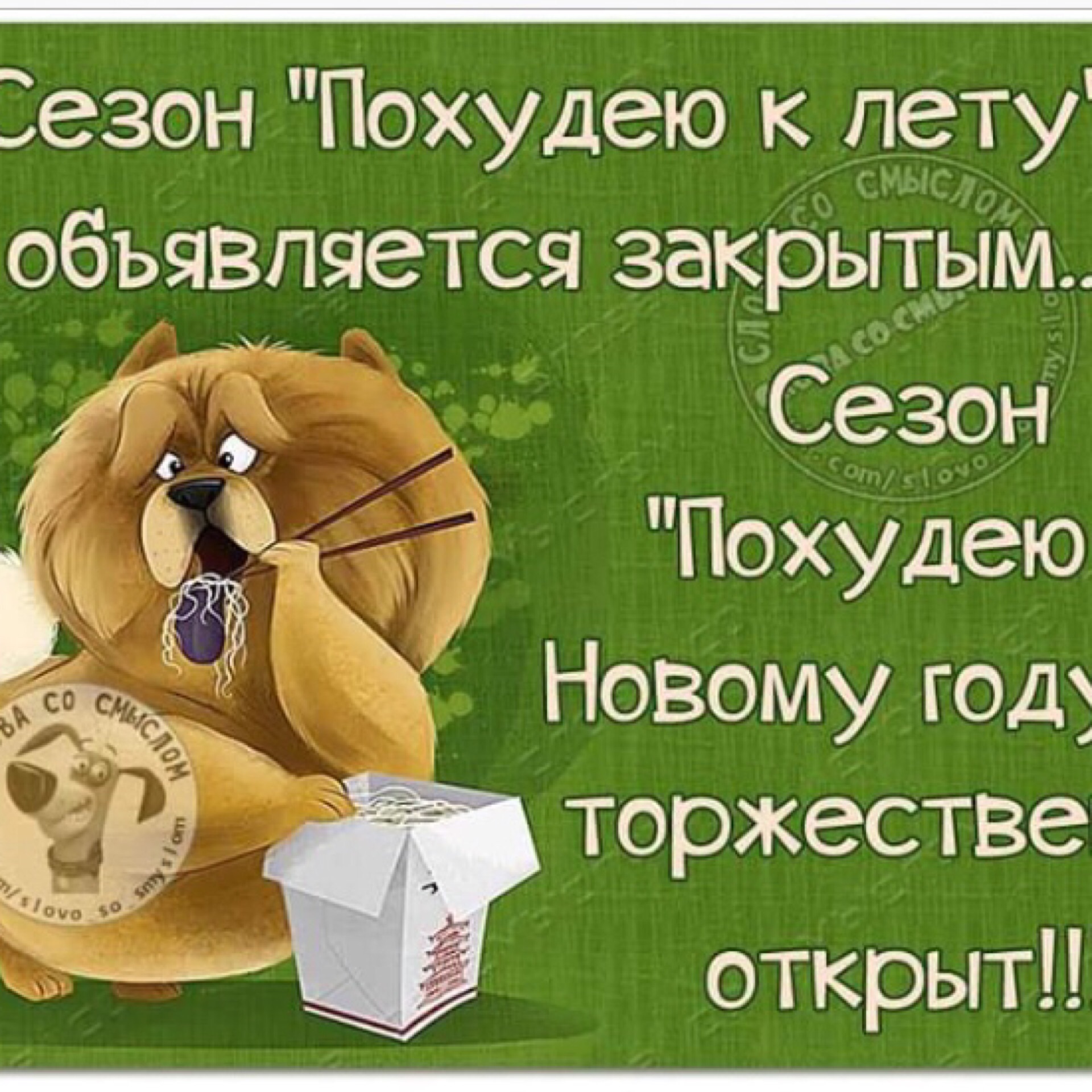 Шутки Про Похудение К Лету. Смешные анекдоты про похудение