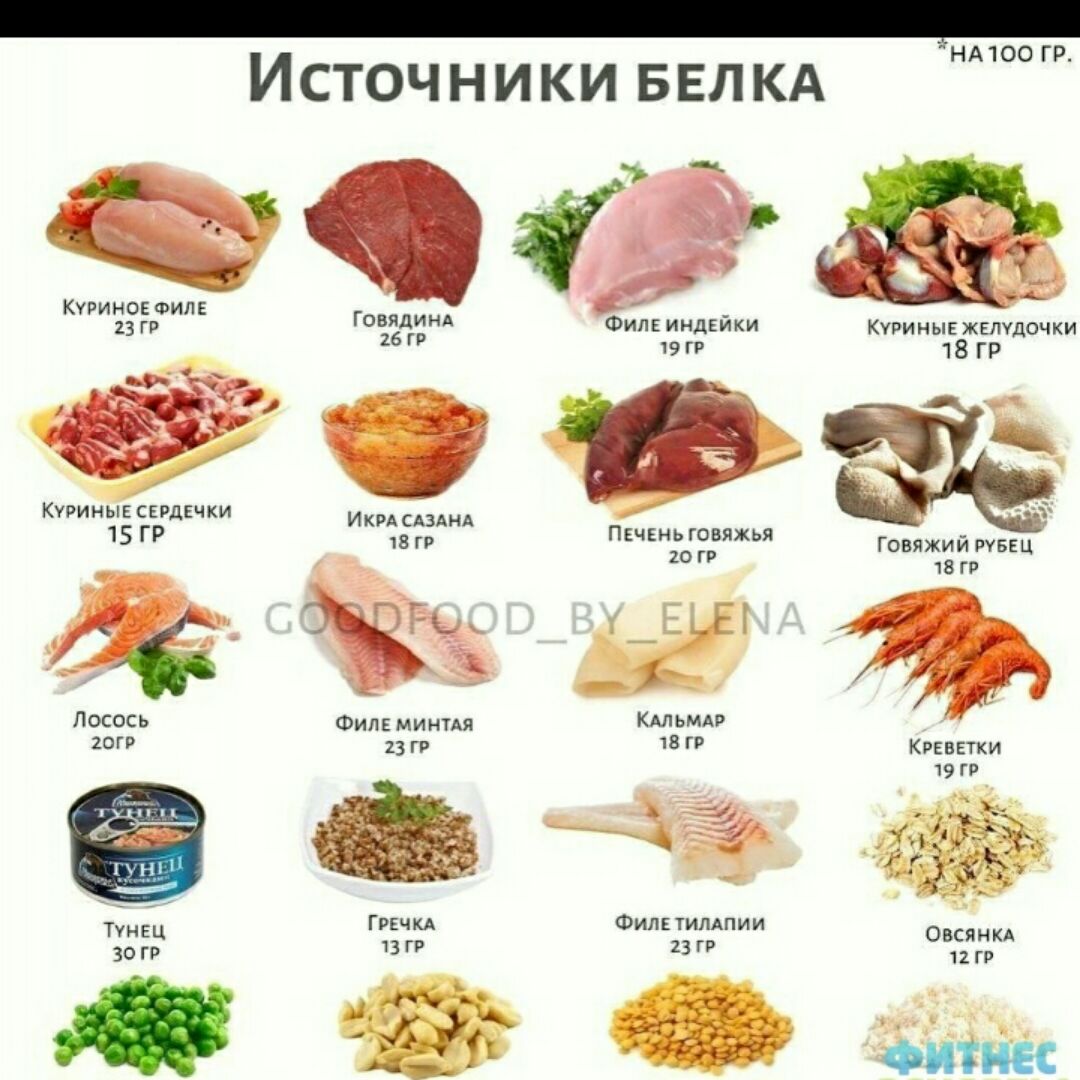 Недорогие Белковые Продукты