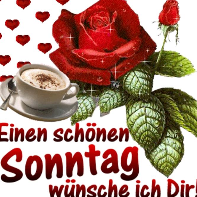 Guten morgen schönen sonntag bilder