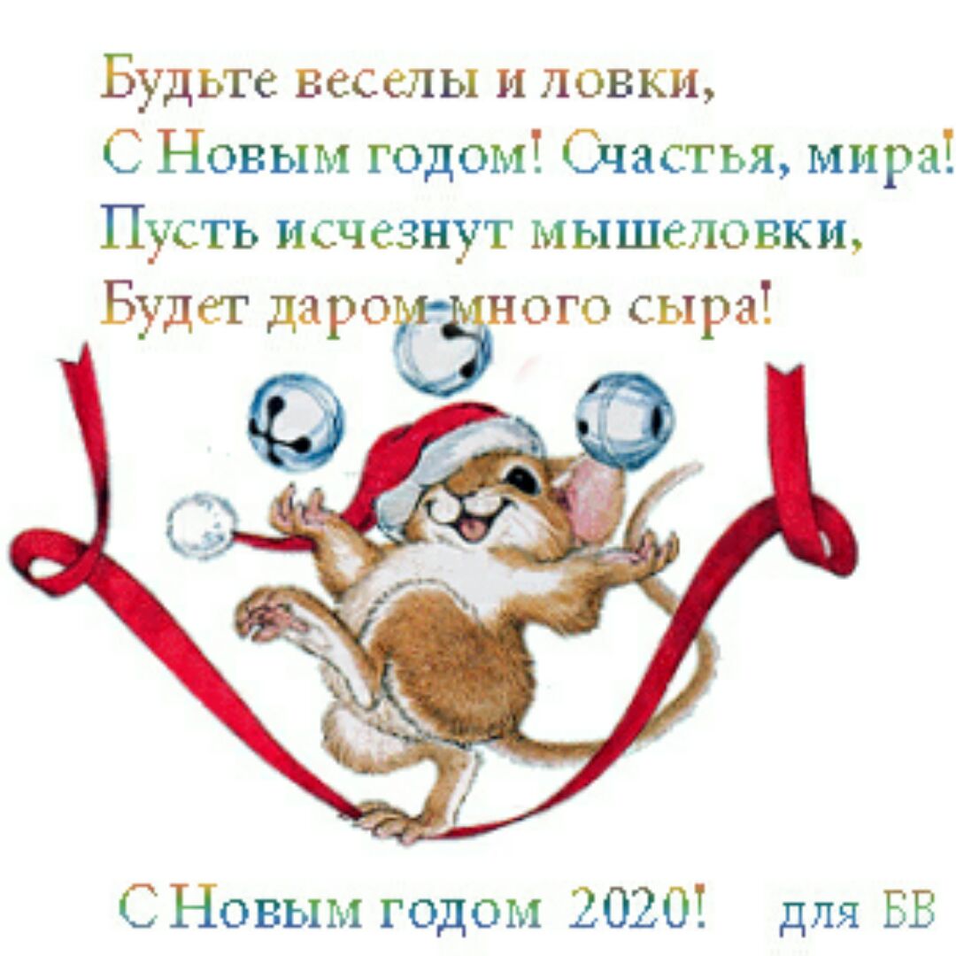 Короткий год. Поздравления с новым годом с мышкой. Поздравления с годом мыши. Стихи на новый год на 2020 год. Стихи про год мыши на новый год.