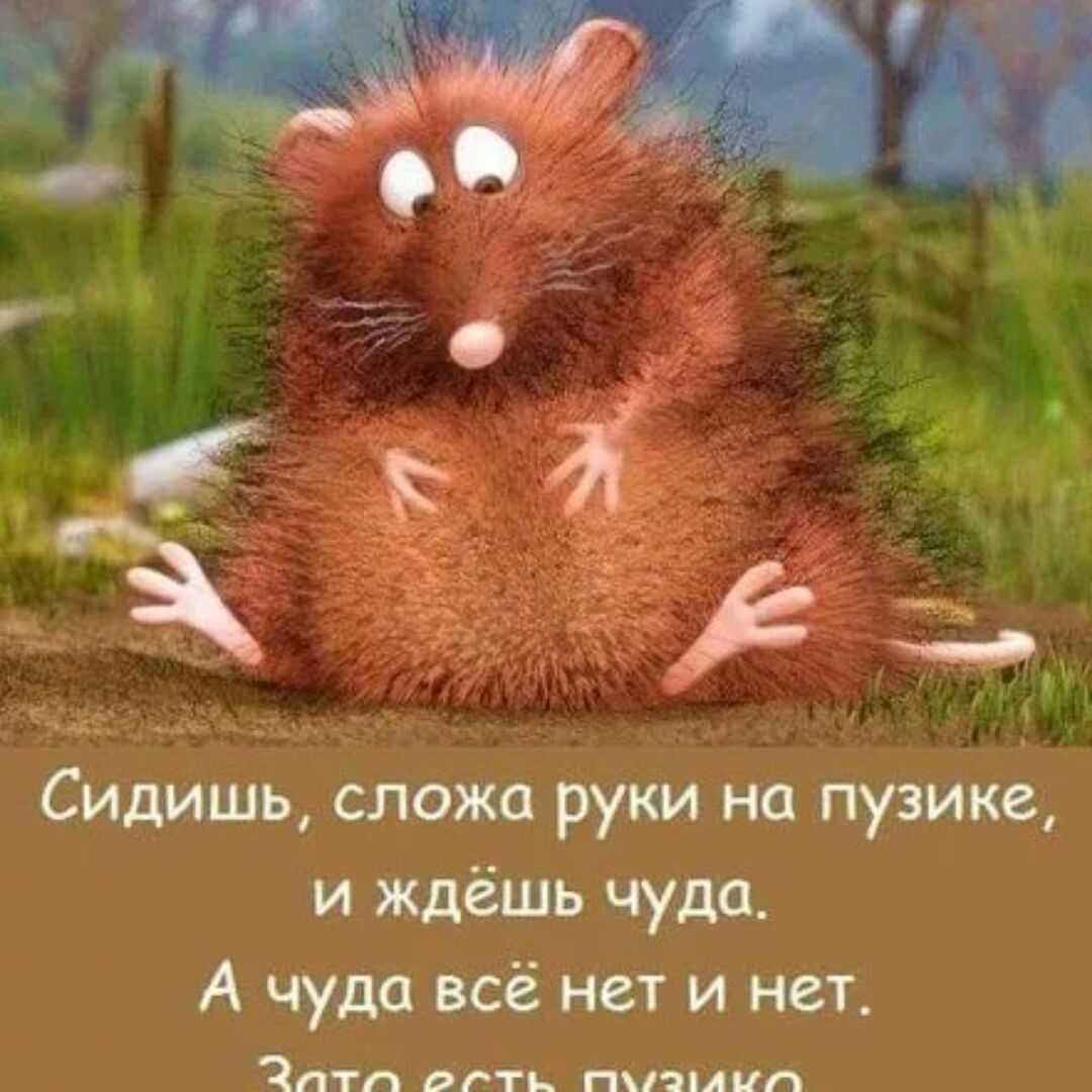 Чудо картинки смешные, годовщине свадьбы