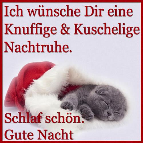 Schlaf gut mein schatz gif