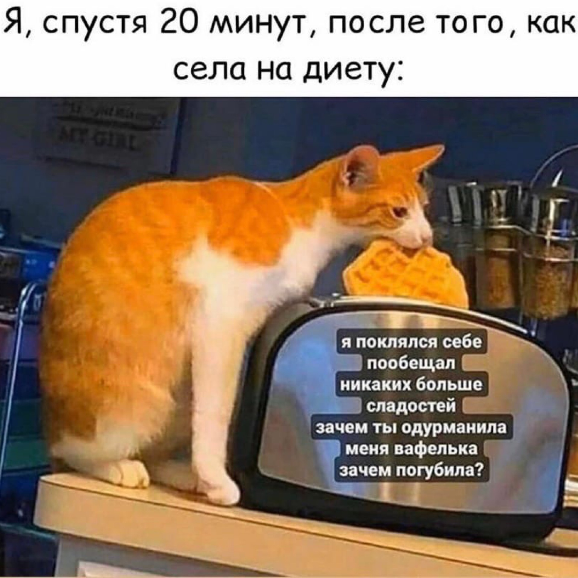 Зачем люди садятся на диету за месяц