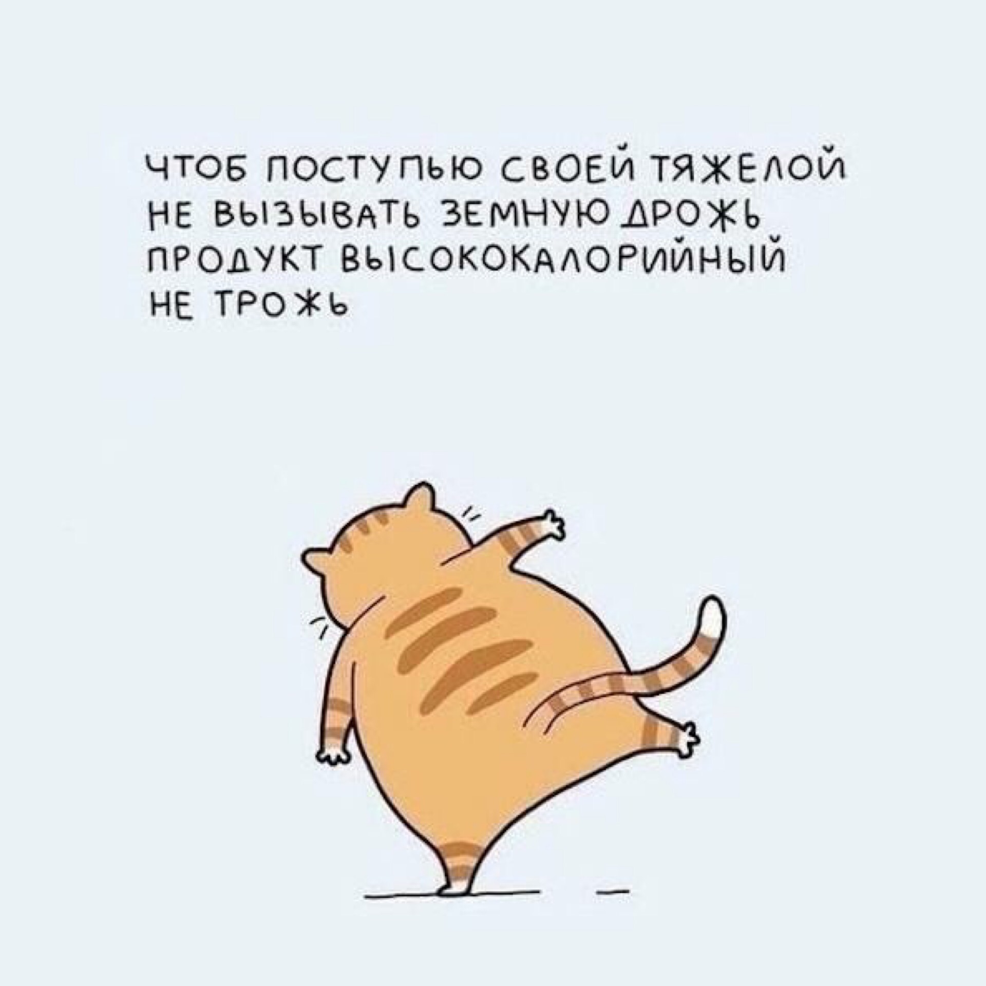 Похудел кот весной без спорта Похудел кот весной без спорта