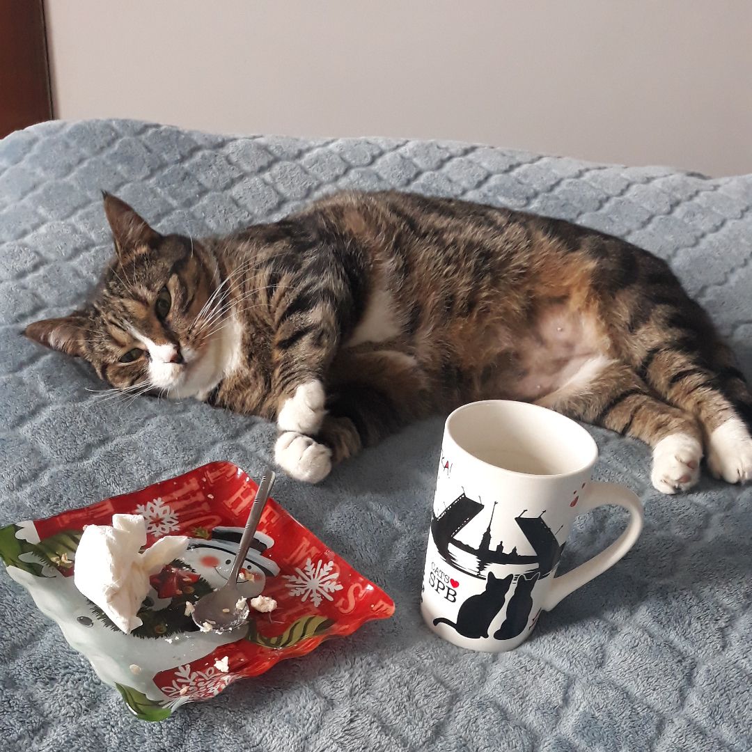 Tapтaлeтки & Ко