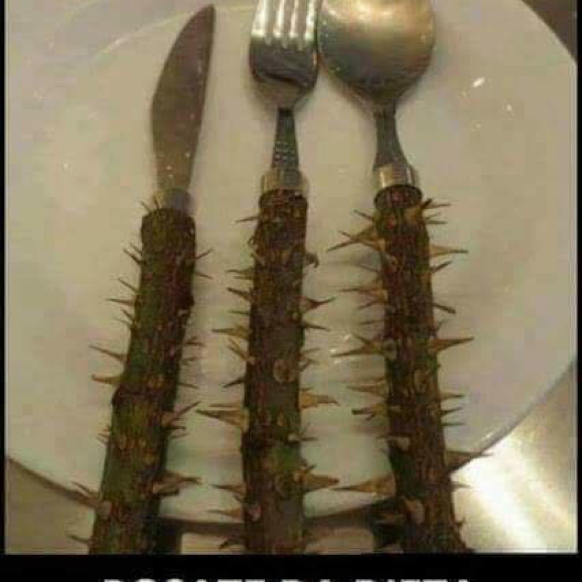 Приборы для диеты в домашних условиях Приборы для диеты в домашних условиях