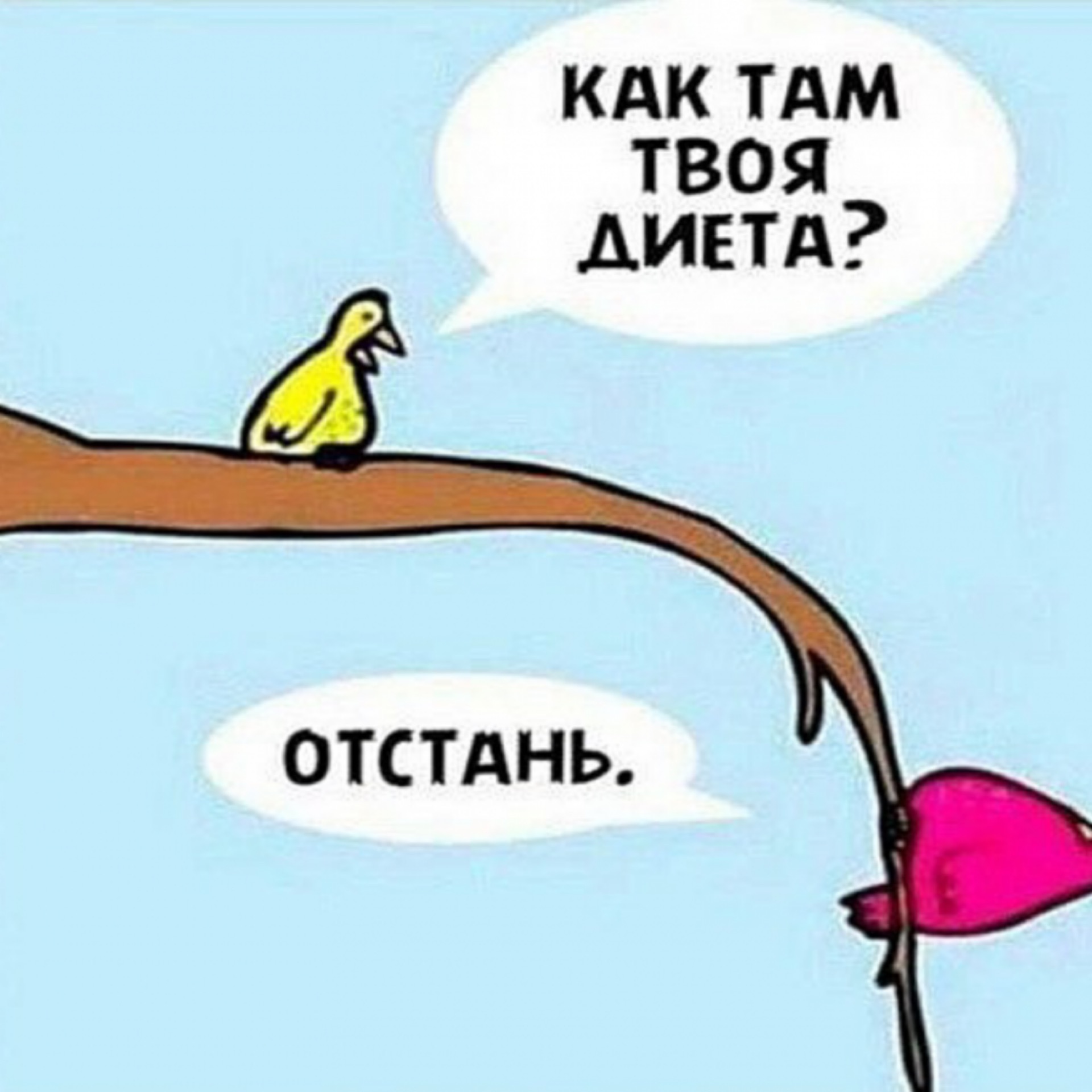 Прикольные картинке о диете