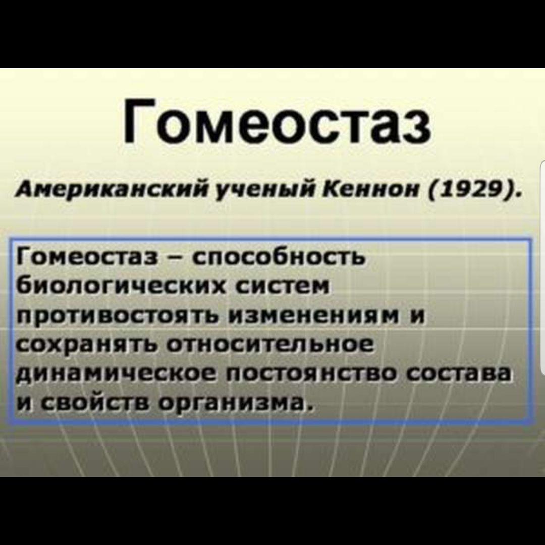 Гомеостаз совокупность. Гомеостаз. Гомеостаз это в биологии. Гомеостаз это кратко. Гомеостаз примеры в биологии.