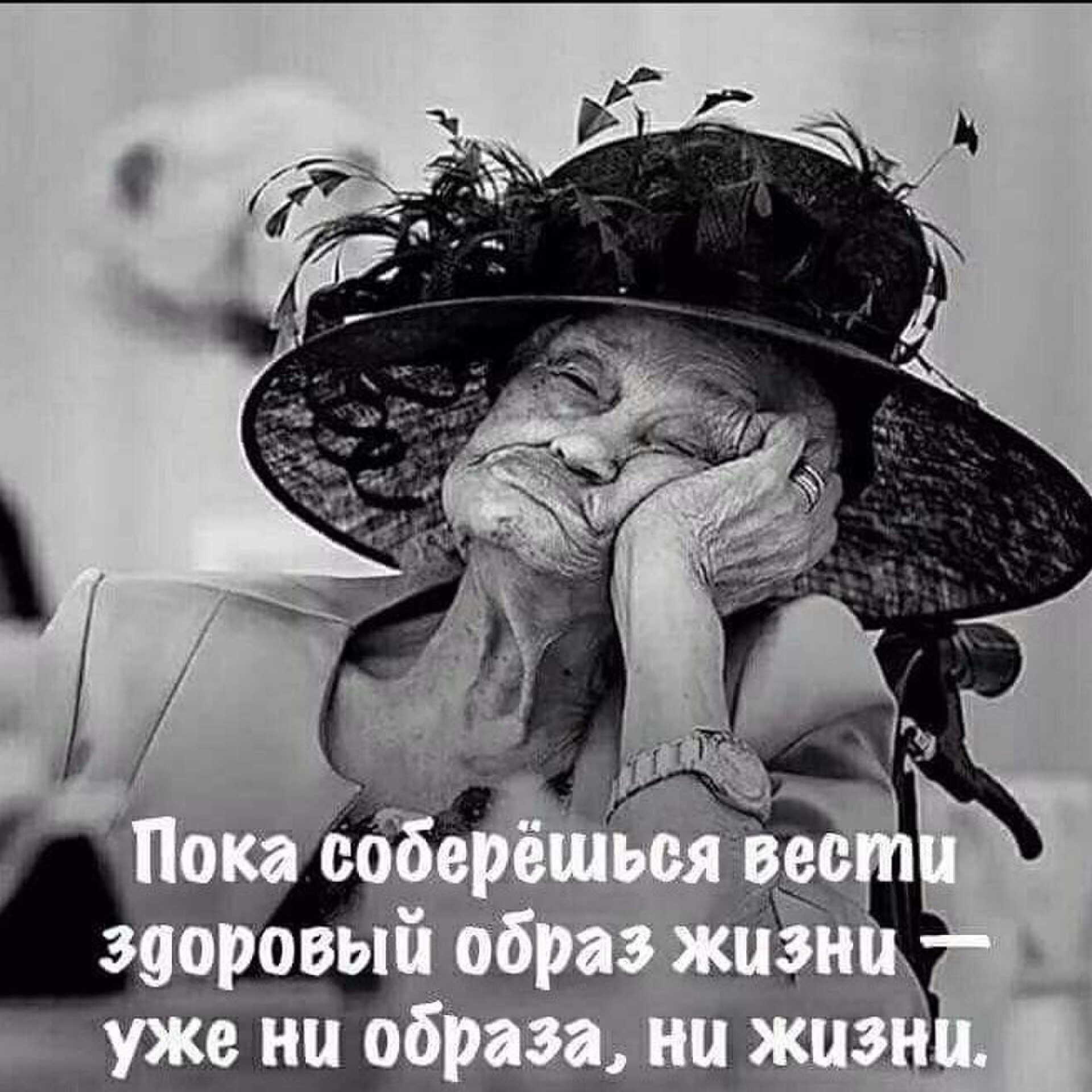 Про, прикольные житейские картинки