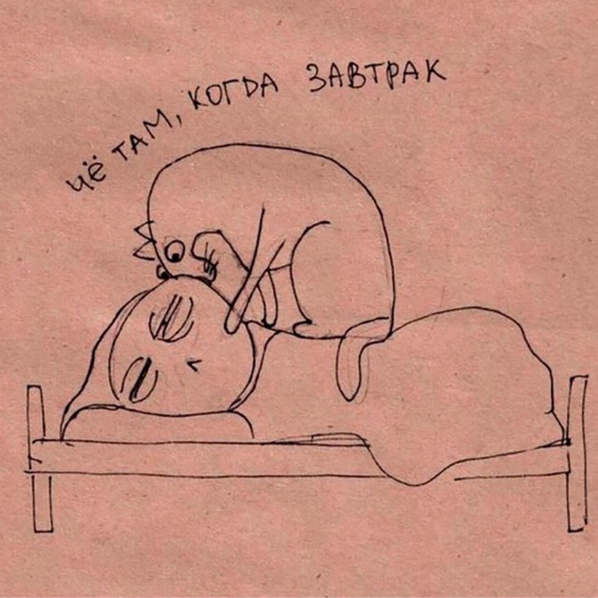 Входящему открытка, картинки шутки про утро